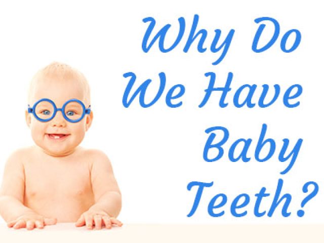 Why Do We Have Baby Teeth? (featured image)